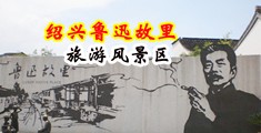 粉嫩逼逼视频中国绍兴-鲁迅故里旅游风景区